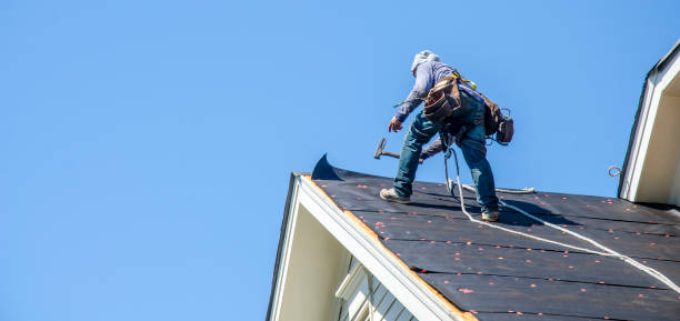 Roof Gutter Cleaning in North Miami Beach, FL